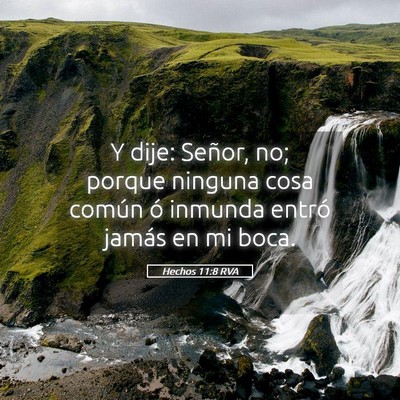 Picture 05 - Hechos 11:8 RVA - Y dije: Señor, no; porque ninguna cosa común ó - Bible Verse Picture