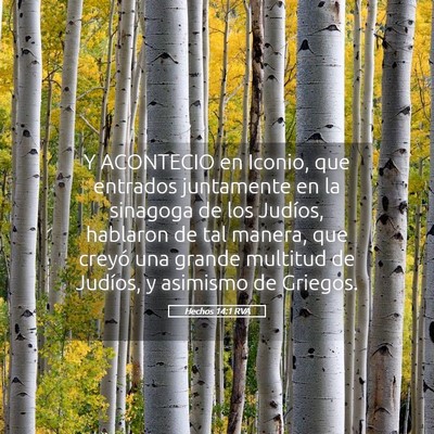 Picture 05 - Hechos 14:1 RVA - Y ACONTECIO en Iconio, que entrados juntamente en - Bible Verse Picture