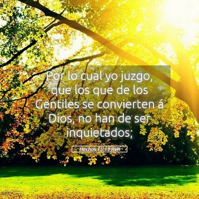 Picture 05 - Hechos 15:19 RVA - Por lo cual yo juzgo, que los que de los Gentiles - Bible Verse Picture