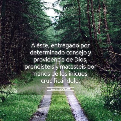 Picture 05 - Hechos 2:23 RVA - A éste, entregado por determinado consejo y - Bible Verse Picture