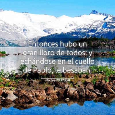 Picture 05 - Hechos 20:37 RVA - Entonces hubo un gran lloro de todos: y - Bible Verse Picture