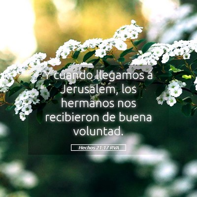 Picture 05 - Hechos 21:17 RVA - Y cuando llegamos á Jerusalem, los hermanos nos - Bible Verse Picture