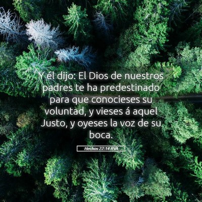 Picture 05 - Hechos 22:14 RVA - Y él dijo: El Dios de nuestros padres te ha - Bible Verse Picture