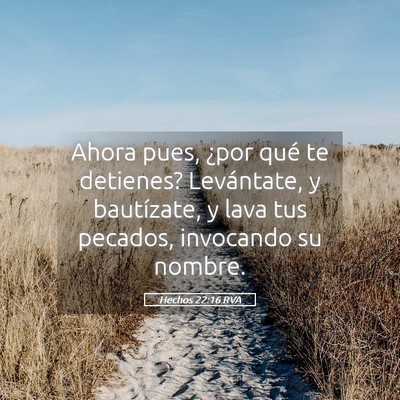 Picture 05 - Hechos 22:16 RVA - Ahora pues, ¿por qué te detienes? Levántate, y - Bible Verse Picture