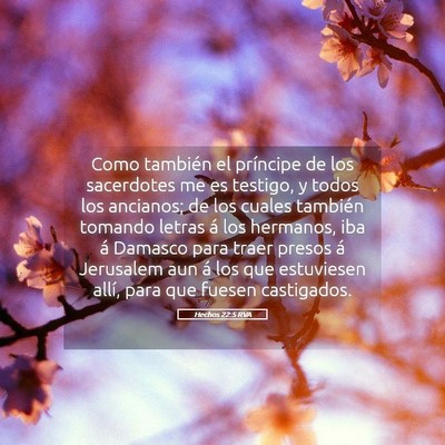 Picture 05 - Hechos 22:5 RVA - Como también el príncipe de los sacerdotes me - Bible Verse Picture