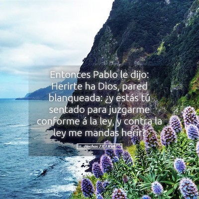 Picture 05 - Hechos 23:3 RVA - Entonces Pablo le dijo: Herirte ha Dios, pared - Bible Verse Picture