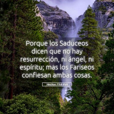 Picture 05 - Hechos 23:8 RVA - Porque los Saduceos dicen que no hay - Bible Verse Picture