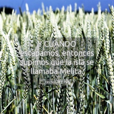 Picture 05 - Hechos 28:1 RVA - Y CUANDO escapamos, entonces supimos que la isla - Bible Verse Picture