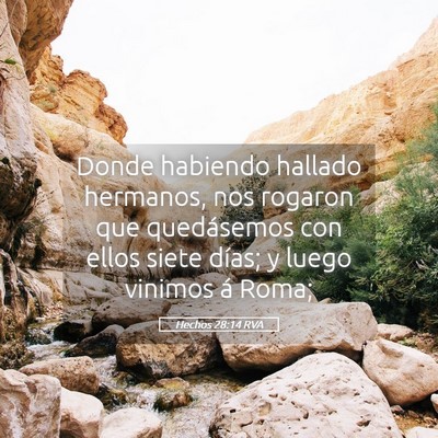 Picture 05 - Hechos 28:14 RVA - Donde habiendo hallado hermanos, nos rogaron que - Bible Verse Picture