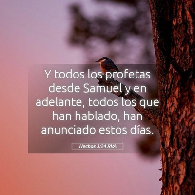Picture 05 - Hechos 3:24 RVA - Y todos los profetas desde Samuel y en adelante, - Bible Verse Picture