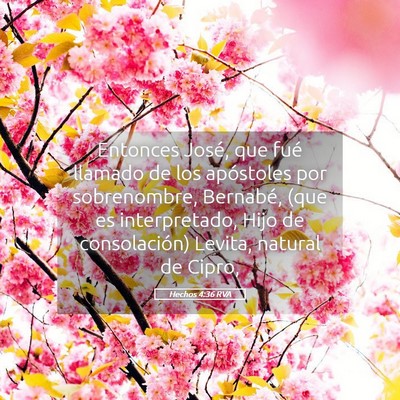 Picture 05 - Hechos 4:36 RVA - Entonces José, que fué llamado de los - Bible Verse Picture