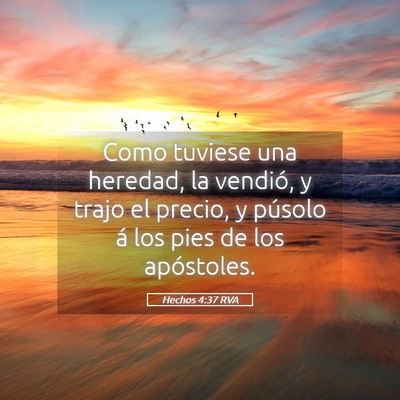 Picture 05 - Hechos 4:37 RVA - Como tuviese una heredad, la vendió, y trajo el - Bible Verse Picture