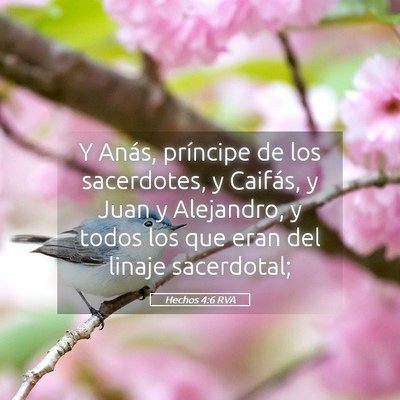 Picture 05 - Hechos 4:6 RVA - Y Anás, príncipe de los sacerdotes, y Caifás, - Bible Verse Picture
