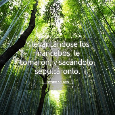 Picture 05 - Hechos 5:6 RVA - Y levantándose los mancebos, le tomaron, y - Bible Verse Picture