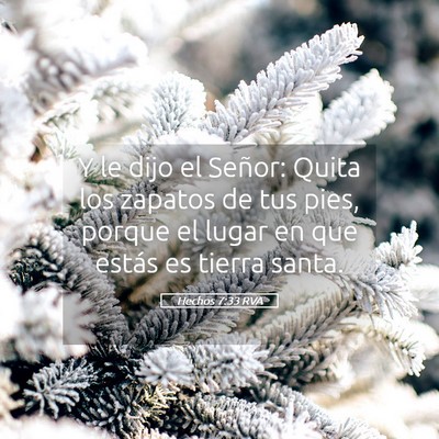 Picture 05 - Hechos 7:33 RVA - Y le dijo el Señor: Quita los zapatos de tus - Bible Verse Picture