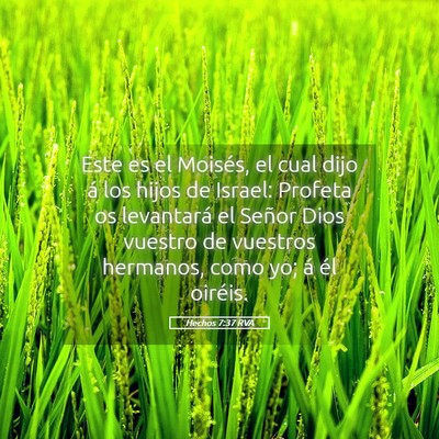Picture 05 - Hechos 7:37 RVA - Este es el Moisés, el cual dijo á los hijos de - Bible Verse Picture