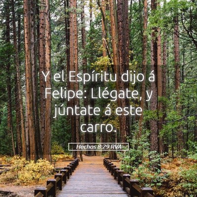 Picture 05 - Hechos 8:29 RVA - Y el Espíritu dijo á Felipe: Llégate, y - Bible Verse Picture