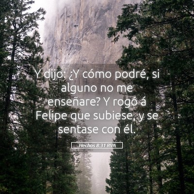 Picture 05 - Hechos 8:31 RVA - Y dijo: ¿Y cómo podré, si alguno no me - Bible Verse Picture
