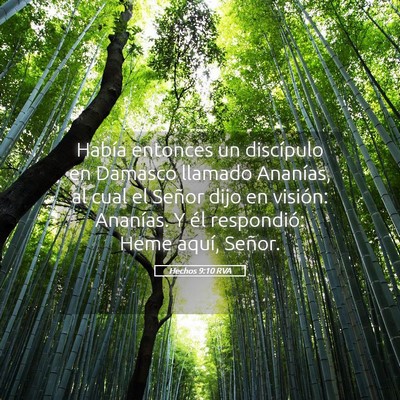 Picture 05 - Hechos 9:10 RVA - Había entonces un discípulo en Damasco llamado - Bible Verse Picture