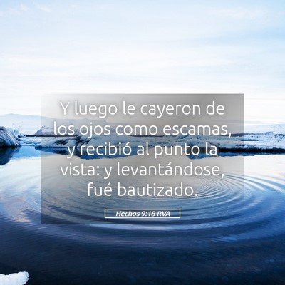 Picture 05 - Hechos 9:18 RVA - Y luego le cayeron de los ojos como escamas, y - Bible Verse Picture
