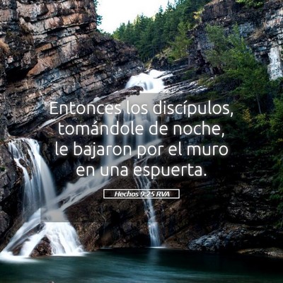 Picture 05 - Hechos 9:25 RVA - Entonces los discípulos, tomándole de noche, le - Bible Verse Picture