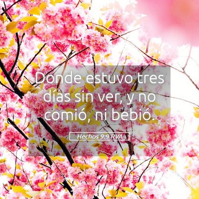 Picture 05 - Hechos 9:9 RVA - Donde estuvo tres días sin ver, y no comió, ni - Bible Verse Picture
