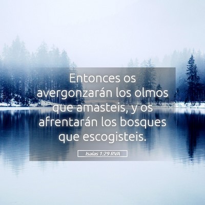 Picture 05 - Isaías 1:29 RVA - Entonces os avergonzarán los olmos que amasteis, - Bible Verse Picture