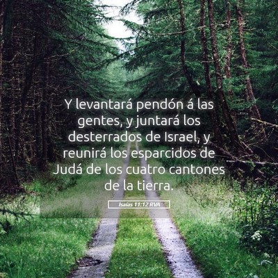 Picture 05 - Isaías 11:12 RVA - Y levantará pendón á las gentes, y juntará - Bible Verse Picture
