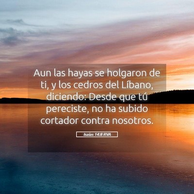 Picture 05 - Isaías 14:8 RVA - Aun las hayas se holgaron de ti, y los cedros del - Bible Verse Picture