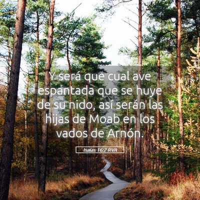 Picture 05 - Isaías 16:2 RVA - Y será que cual ave espantada que se huye de su - Bible Verse Picture
