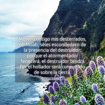Picture 05 - Isaías 16:4 RVA - Moren contigo mis desterrados, oh Moab; séles - Bible Verse Picture