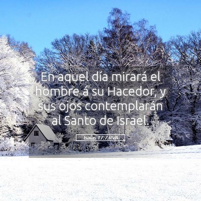 Picture 05 - Isaías 17:7 RVA - En aquel día mirará el hombre á su Hacedor, y - Bible Verse Picture