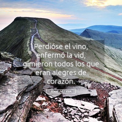 Picture 05 - Isaías 24:7 RVA - Perdióse el vino, enfermó la vid, gimieron - Bible Verse Picture