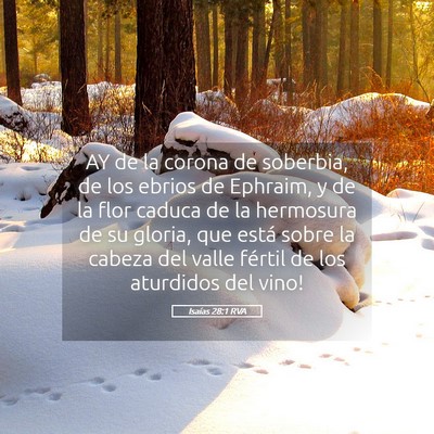 Picture 05 - Isaías 28:1 RVA - AY de la corona de soberbia, de los ebrios de - Bible Verse Picture