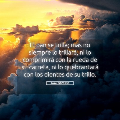 Picture 05 - Isaías 28:28 RVA - El pan se trilla; mas no siempre lo trillará, ni - Bible Verse Picture