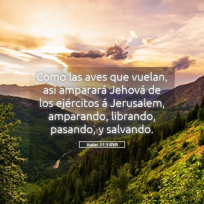 Picture 05 - Isaías 31:5 RVA - Como las aves que vuelan, así amparará Jehová - Bible Verse Picture