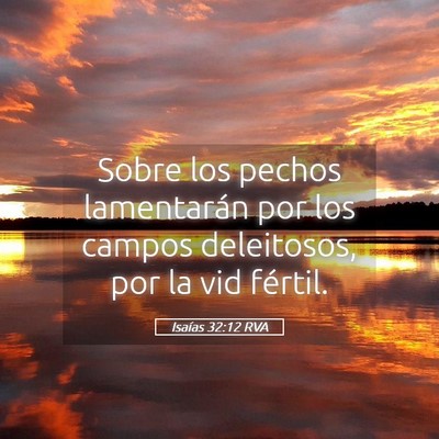 Picture 05 - Isaías 32:12 RVA - Sobre los pechos lamentarán por los campos - Bible Verse Picture