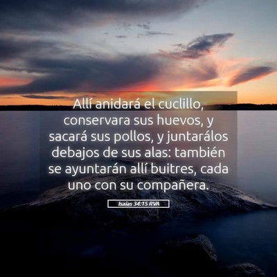 Picture 05 - Isaías 34:15 RVA - Allí anidará el cuclillo, conservara sus - Bible Verse Picture