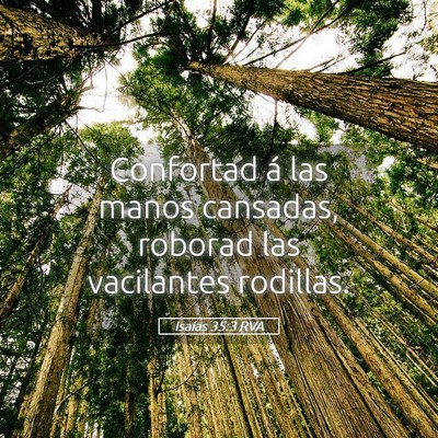 Picture 05 - Isaías 35:3 RVA - Confortad á las manos cansadas, roborad las - Bible Verse Picture