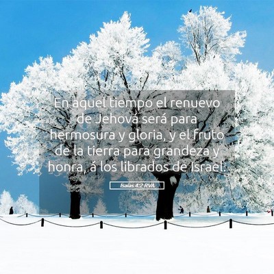 Picture 05 - Isaías 4:2 RVA - En aquel tiempo el renuevo de Jehová será para - Bible Verse Picture