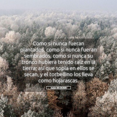 Picture 05 - Isaías 40:24 RVA - Como si nunca fueran plantados, como si nunca - Bible Verse Picture
