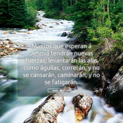 Picture 05 - Isaías 40:31 RVA - Mas los que esperan á Jehová tendrán nuevas - Bible Verse Picture
