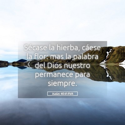 Picture 05 - Isaías 40:8 RVA - Sécase la hierba, cáese la flor: mas la palabra - Bible Verse Picture