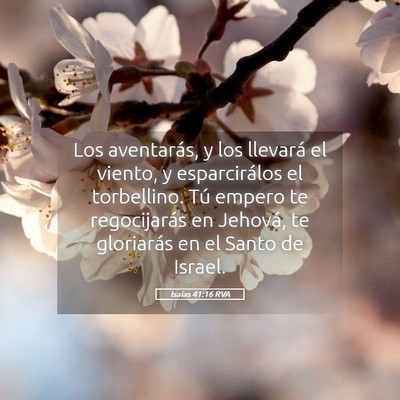 Picture 05 - Isaías 41:16 RVA - Los aventarás, y los llevará el viento, y - Bible Verse Picture