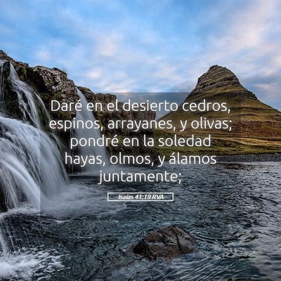 Picture 05 - Isaías 41:19 RVA - Daré en el desierto cedros, espinos, arrayanes, - Bible Verse Picture