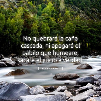 Picture 05 - Isaías 42:3 RVA - No quebrará la caña cascada, ni apagará el - Bible Verse Picture