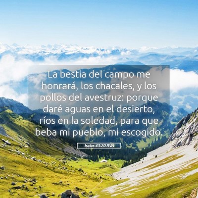 Picture 05 - Isaías 43:20 RVA - La bestia del campo me honrará, los chacales, y - Bible Verse Picture