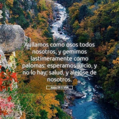 Picture 05 - Isaías 59:11 RVA - Aullamos como osos todos nosotros, y gemimos - Bible Verse Picture