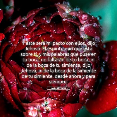 Picture 05 - Isaías 59:21 RVA - Y este será mi pacto con ellos, dijo Jehová: El - Bible Verse Picture
