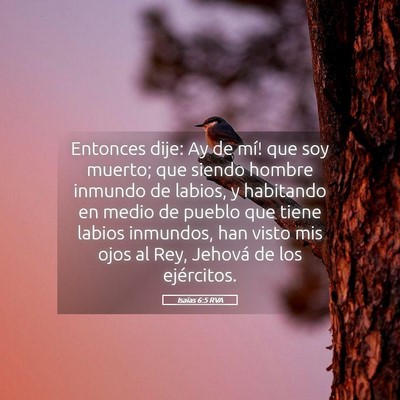 Picture 05 - Isaías 6:5 RVA - Entonces dije: ­Ay de mí! que soy muerto; que - Bible Verse Picture